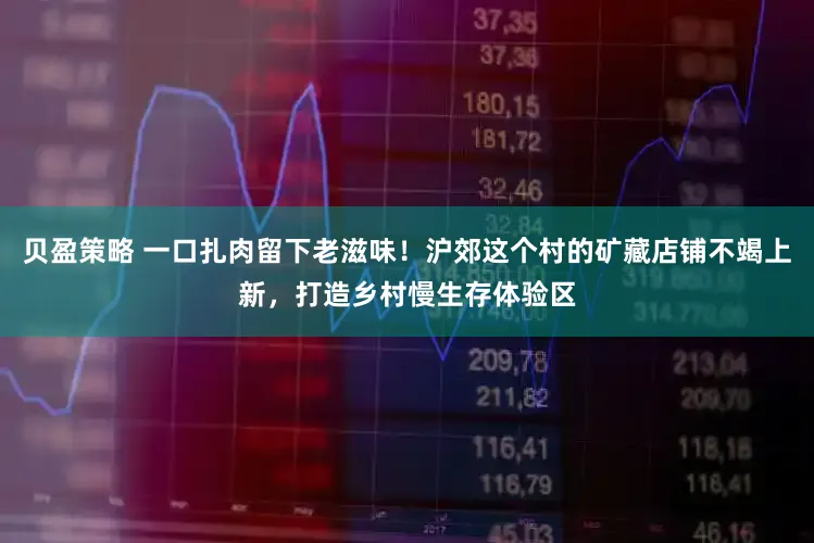 贝盈策略 一口扎肉留下老滋味！沪郊这个村的矿藏店铺不竭上新，打造乡村慢生存体验区