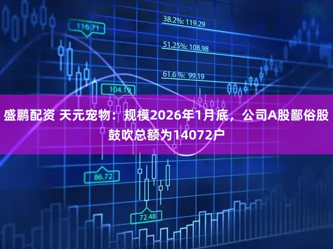 盛鹏配资 天元宠物：规模2026年1月底，公司A股鄙俗股鼓吹总额为14072户