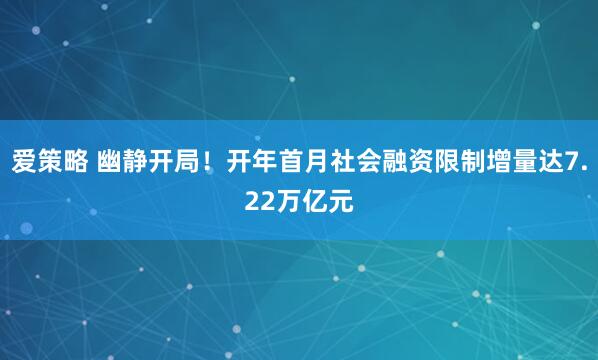 爱策略 幽静开局！开年首月社会融资限制增量达7.22万亿元