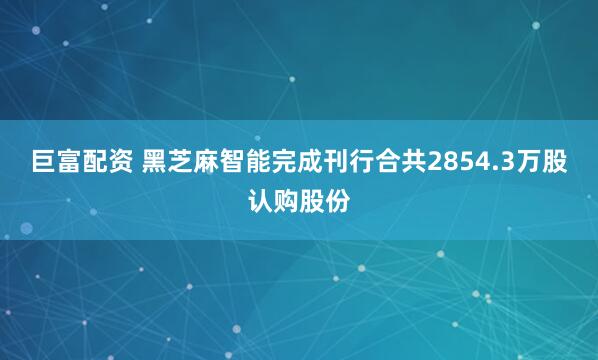 巨富配资 黑芝麻智能完成刊行合共2854.3万股认购股份