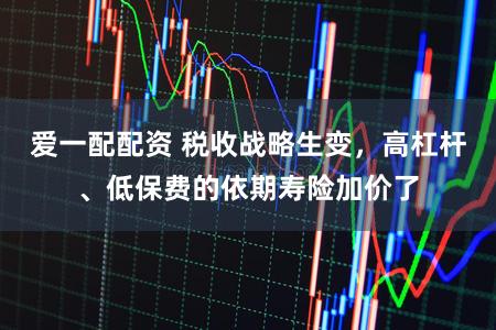 爱一配配资 税收战略生变，高杠杆、低保费的依期寿险加价了