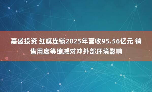 嘉盛投资 红旗连锁2025年营收95.56亿元 销售用度等缩减对冲外部环境影响