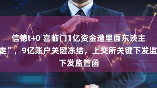 信德t+0 喜临门1亿资金遭里面东谈主“划走”,9亿账户关键冻结,上交所关键下发监管函
