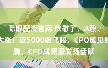 际银配资官网 欣慰了，A股、港股集体大涨！近5000股飞腾，CPO成见股发扬活跃