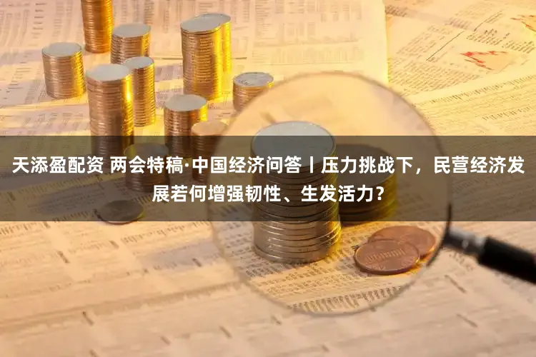 天添盈配资 两会特稿·中国经济问答丨压力挑战下，民营经济发展若何增强韧性、生发活力？