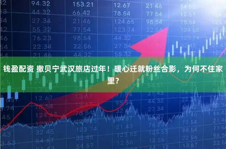 钱盈配资 撒贝宁武汉旅店过年!暖心迁就粉丝合影,为何不住家里?