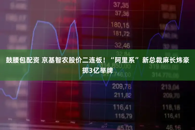鼓腰包配资 京基智农股价二连板！“阿里系” 新总裁麻长炜豪掷3亿举牌